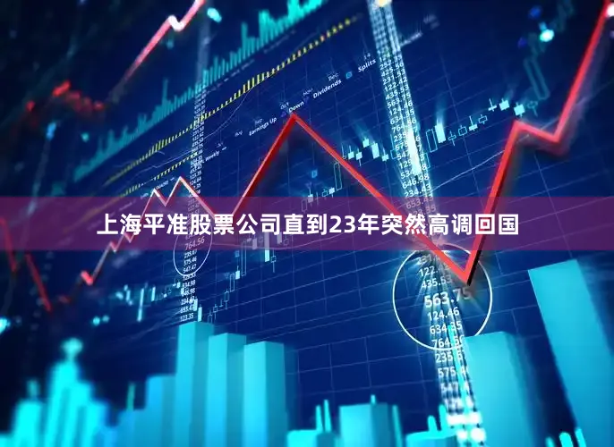 上海平准股票公司直到23年突然高调回国