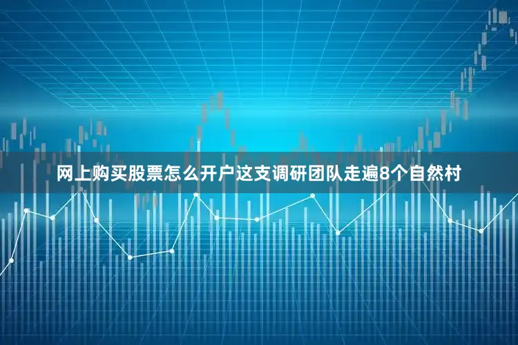 网上购买股票怎么开户这支调研团队走遍8个自然村