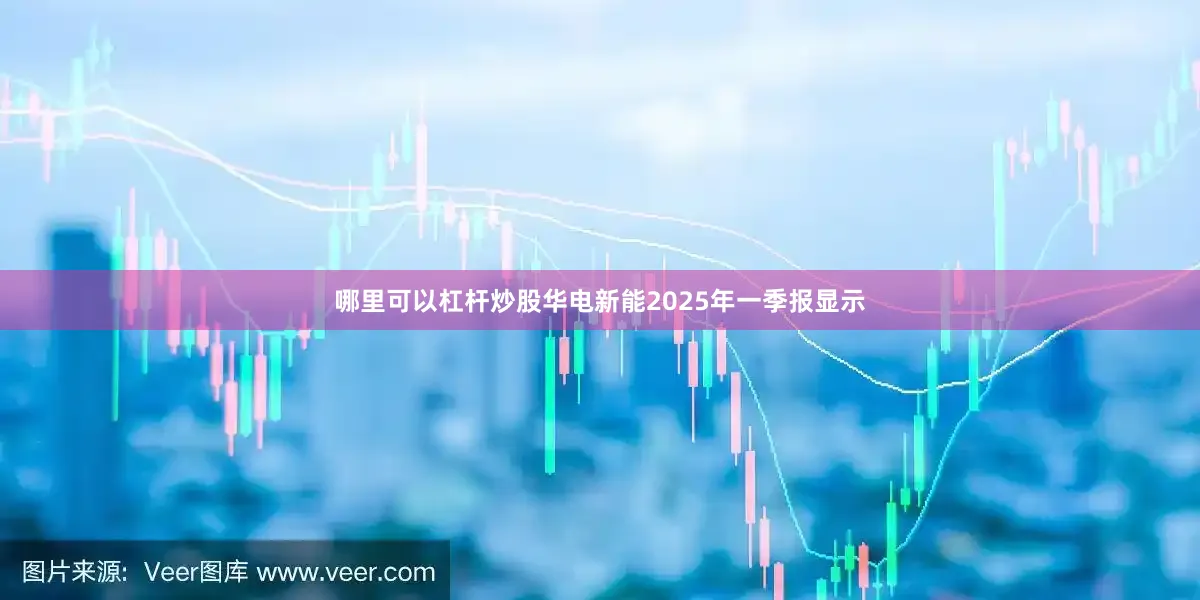 哪里可以杠杆炒股华电新能2025年一季报显示