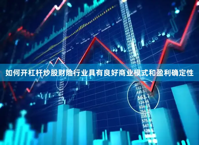 如何开杠杆炒股财险行业具有良好商业模式和盈利确定性