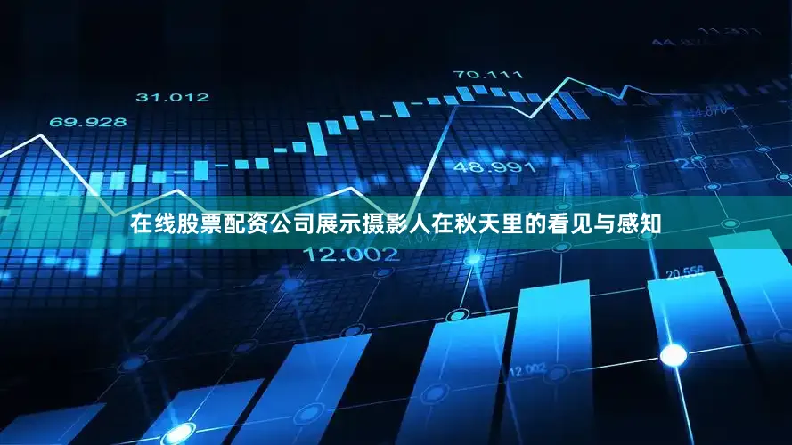 在线股票配资公司展示摄影人在秋天里的看见与感知