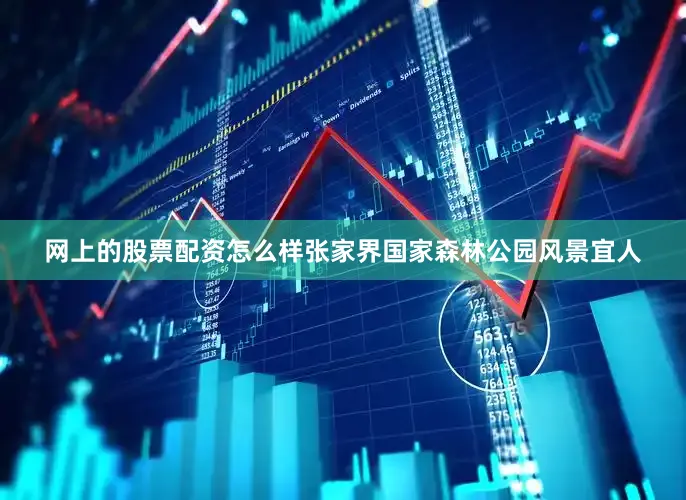 网上的股票配资怎么样张家界国家森林公园风景宜人